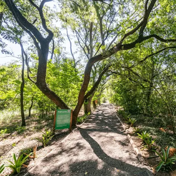 Trilha ecológica